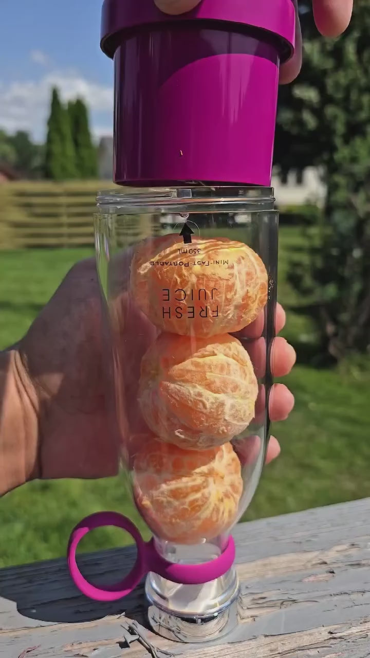 Portable Mini Juice Blender